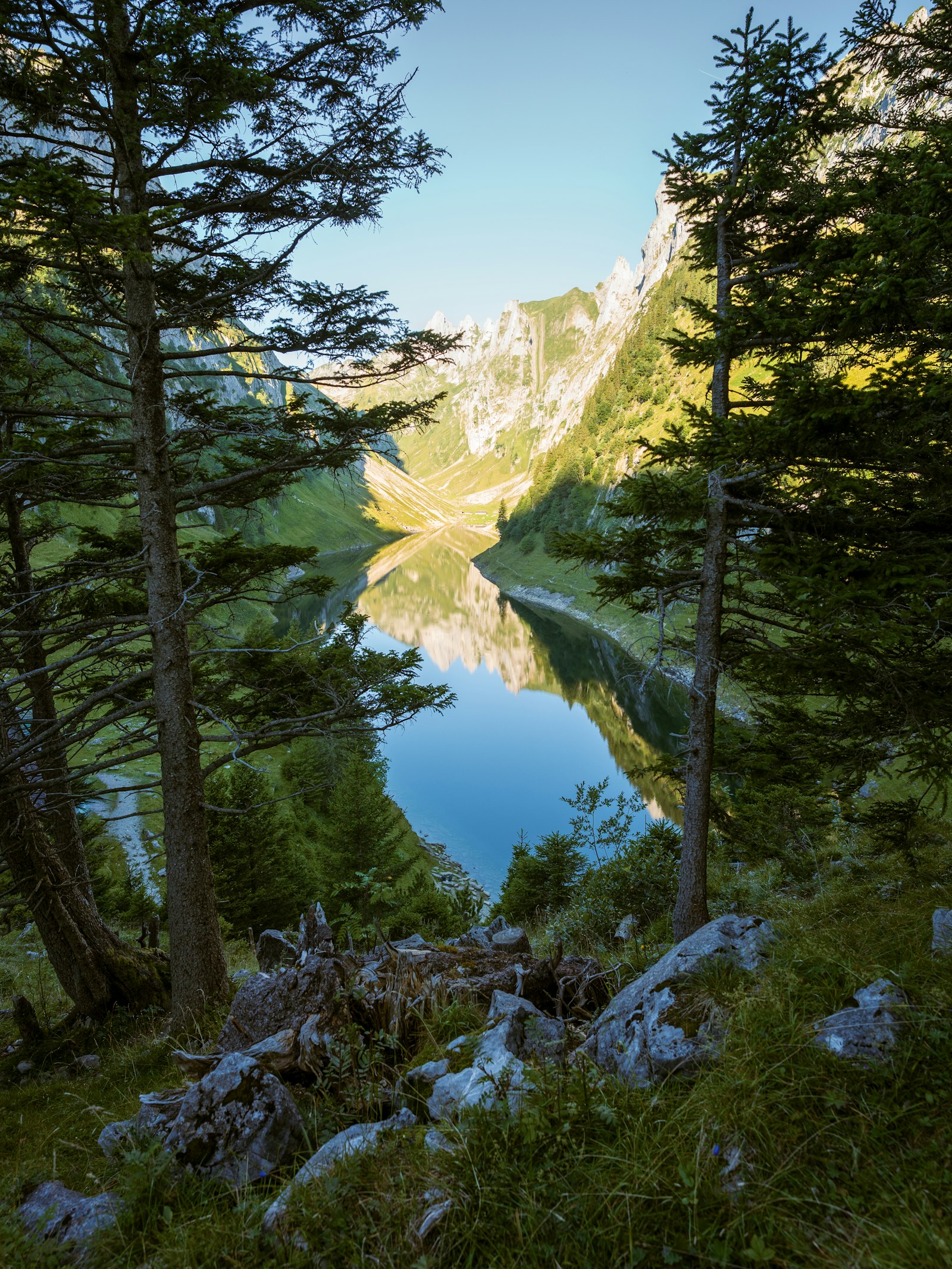 Swiss Alps